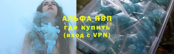амф Вязьма