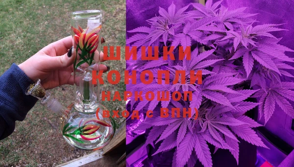гашик Володарск