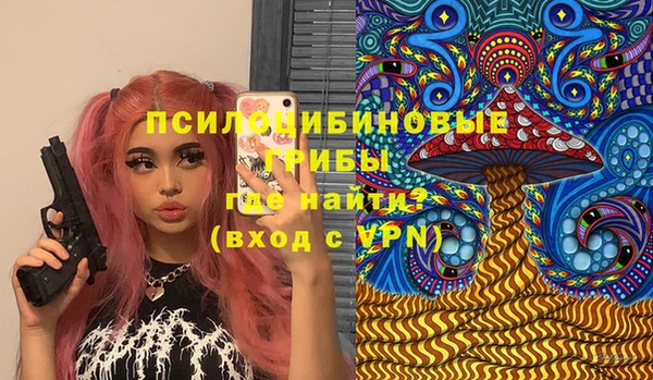 гашик Володарск