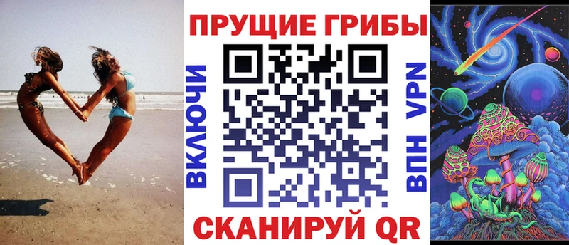 дарнет шоп  hydra рабочий сайт  Псилоцибиновые грибы Cubensis  Карасук 